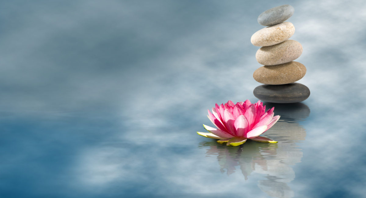 Image of stones and lotus flower on the water closeup