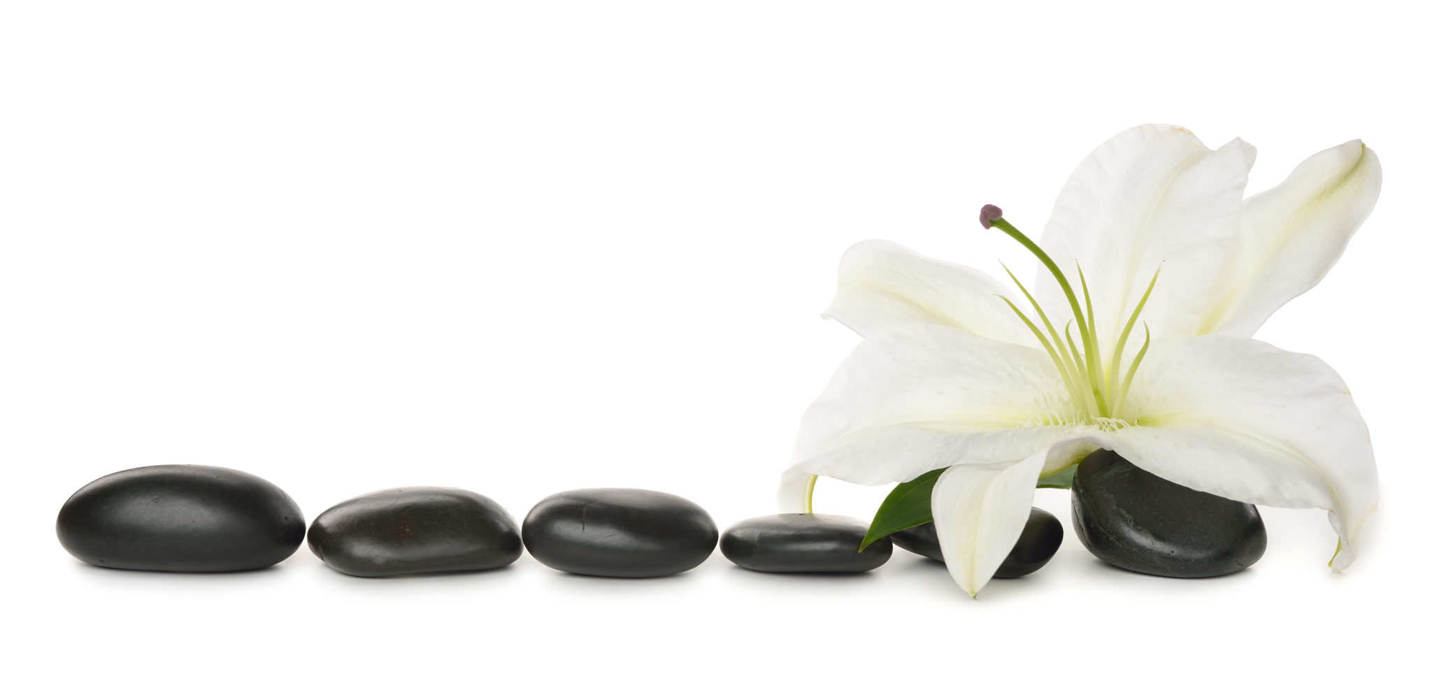 Six smooth pebbles in a horizontal line and a white lily at the right end